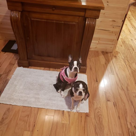 Meet your Posher, Jeff - Picture 1 of 1